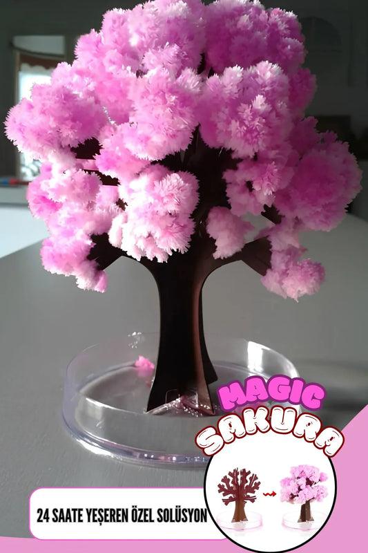 Sihirli Sakura Ağacı