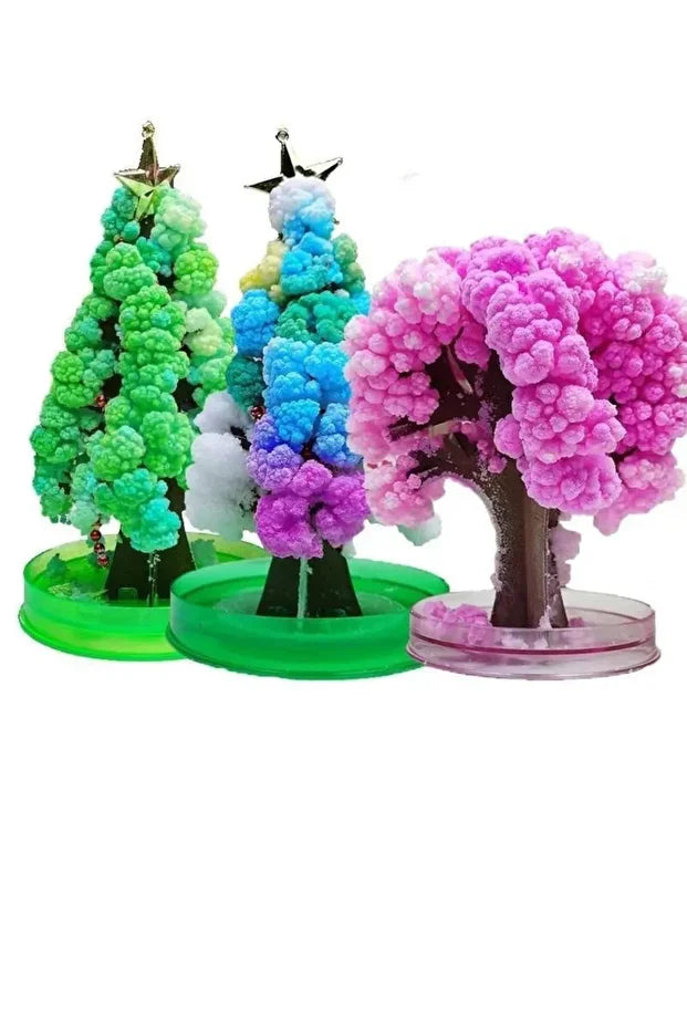 Sihirli Sakura Ağacı