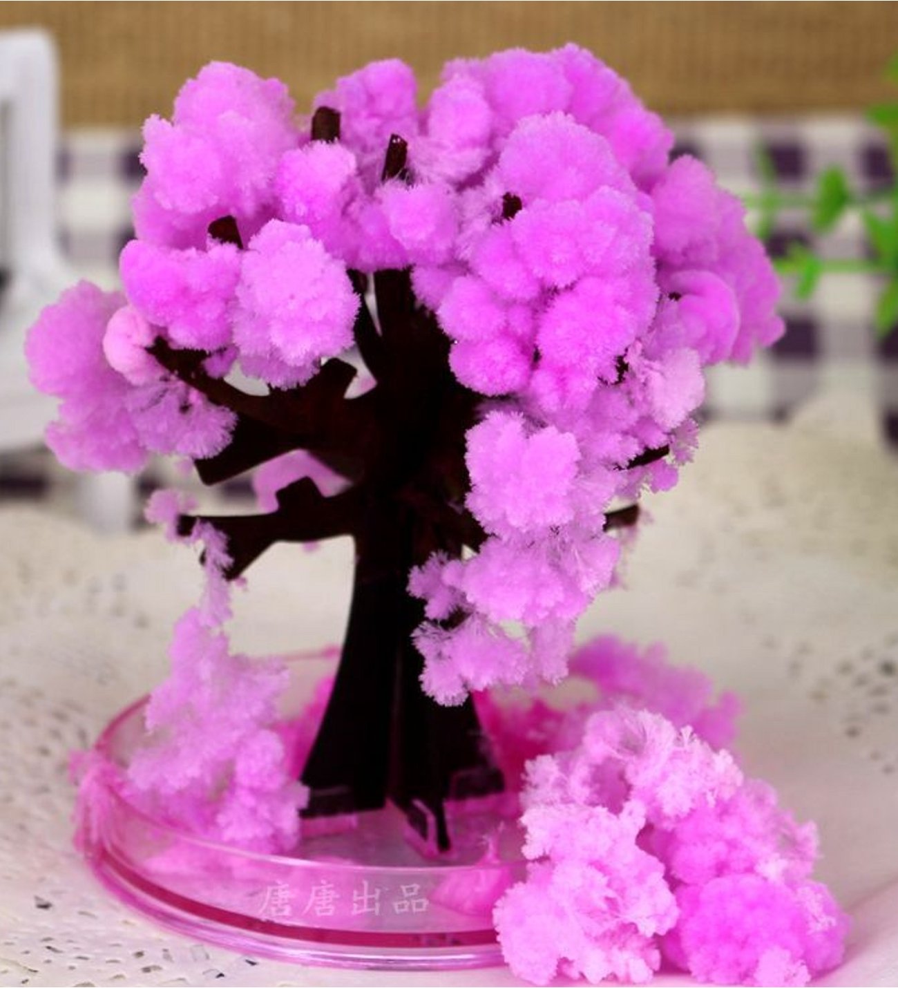 Sihirli Sakura Ağacı